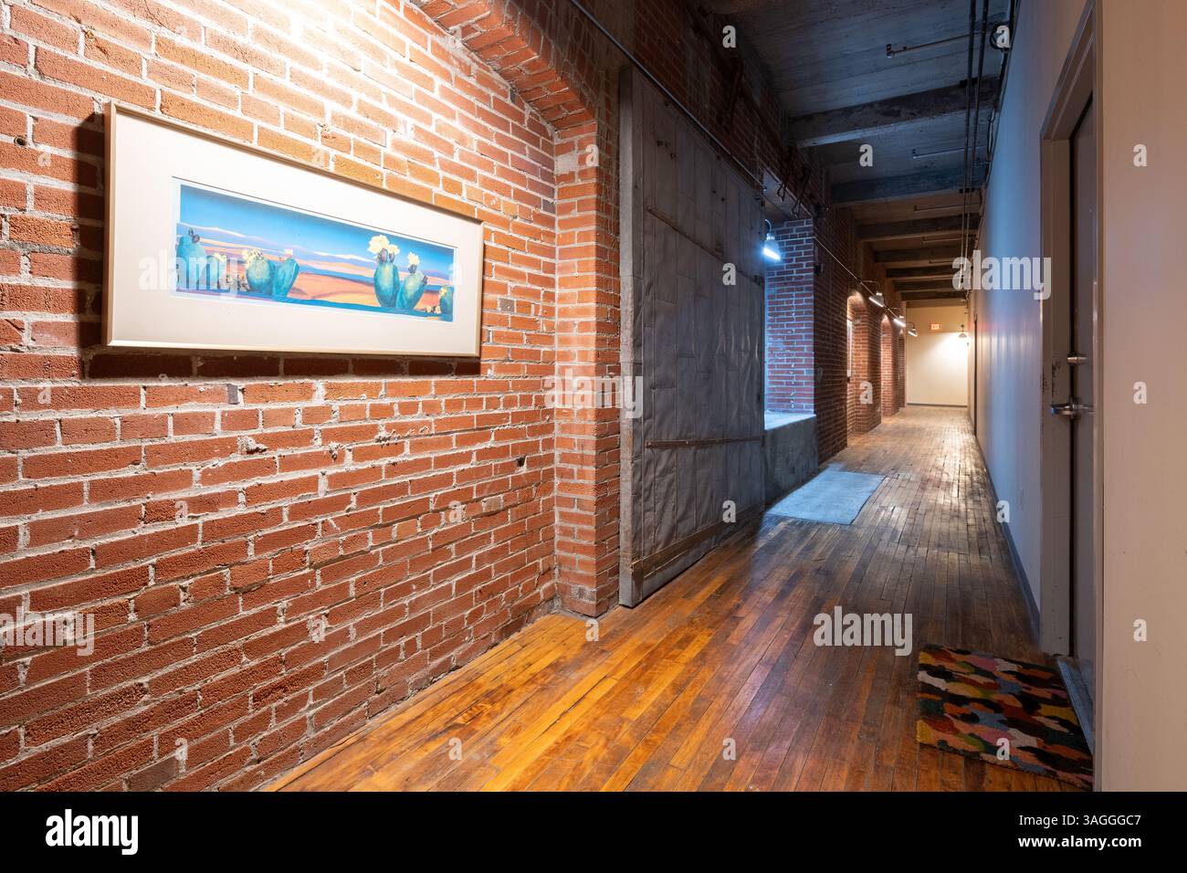Edificio Drygoodsman , ubicazione: St. Louis MO, architetto: Albert P. Groves Foto Stock