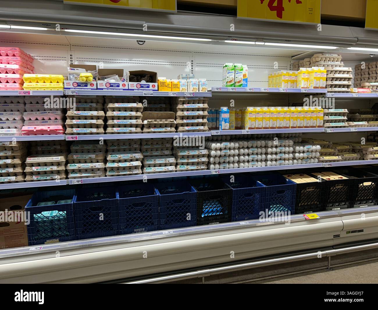 Scaffali del supermercato con scatole di uova fresche - Immagine stock catturata con smartphone