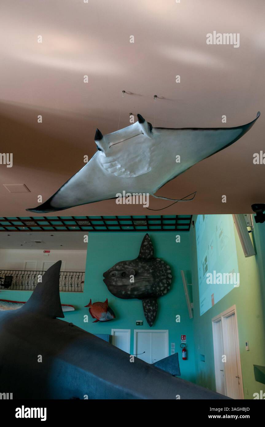 DaDoM - Museo Darwin Dohrn (ex Circolo della Stampa), Napoli Foto Stock