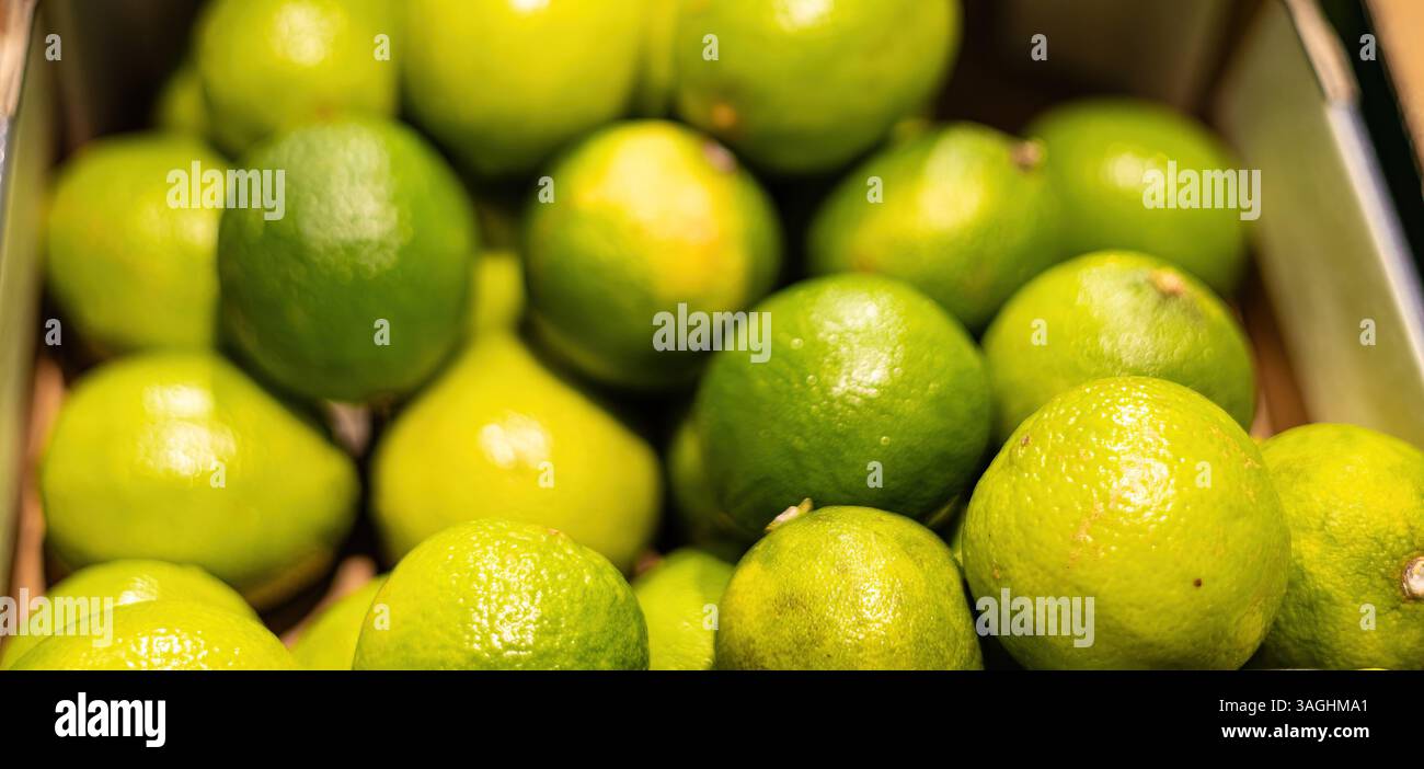 Una vista ravvicinata di limoni verdi freschi e vibranti che emettono freschezza, pronti ad esaltare piatti e bevande culinari. Foto Stock