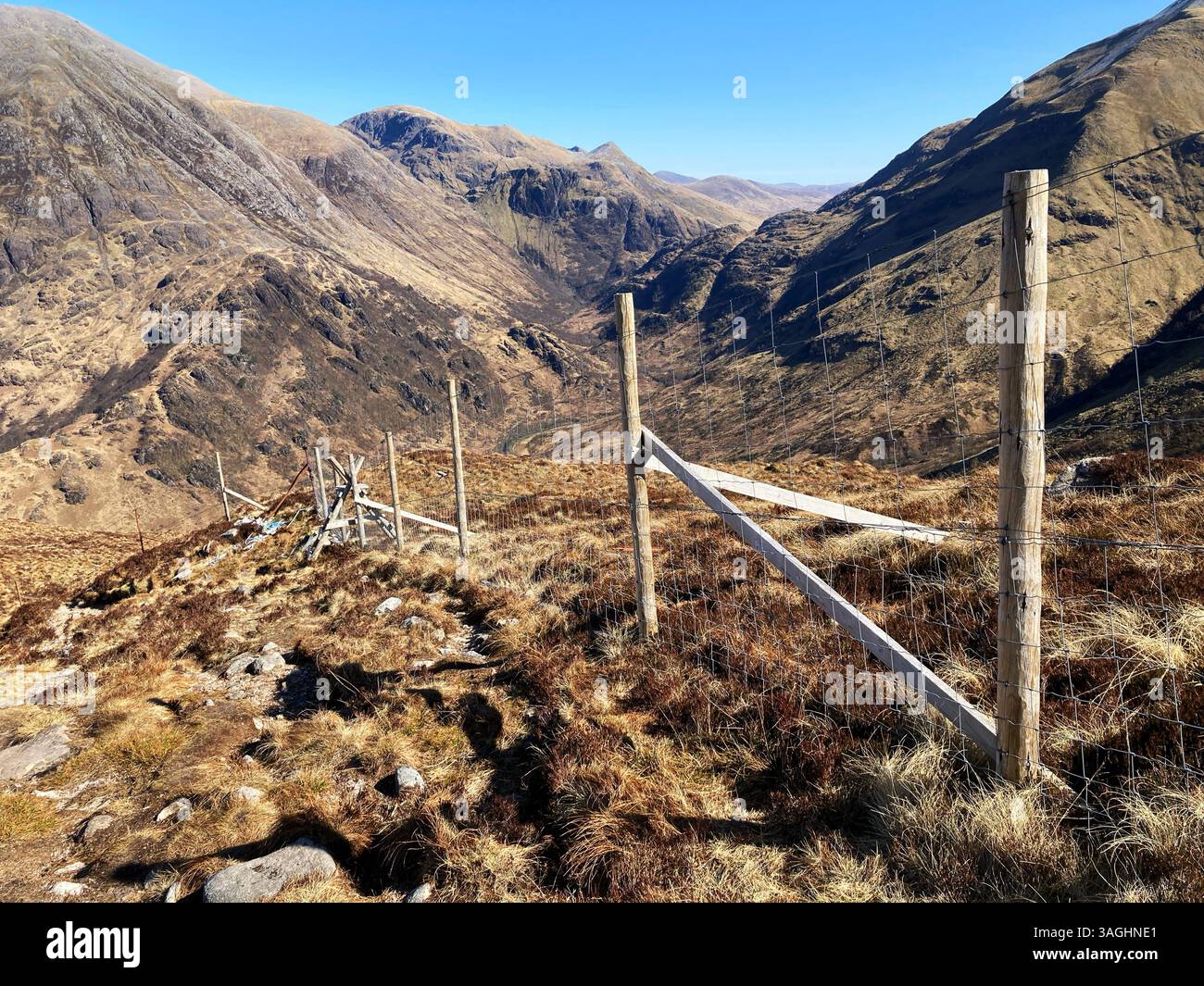 Recinzione dei cervi alle pendici della catena montuosa dei Mamores, vicino a Fort William, in Scozia - Immagine stock catturata con smartphone