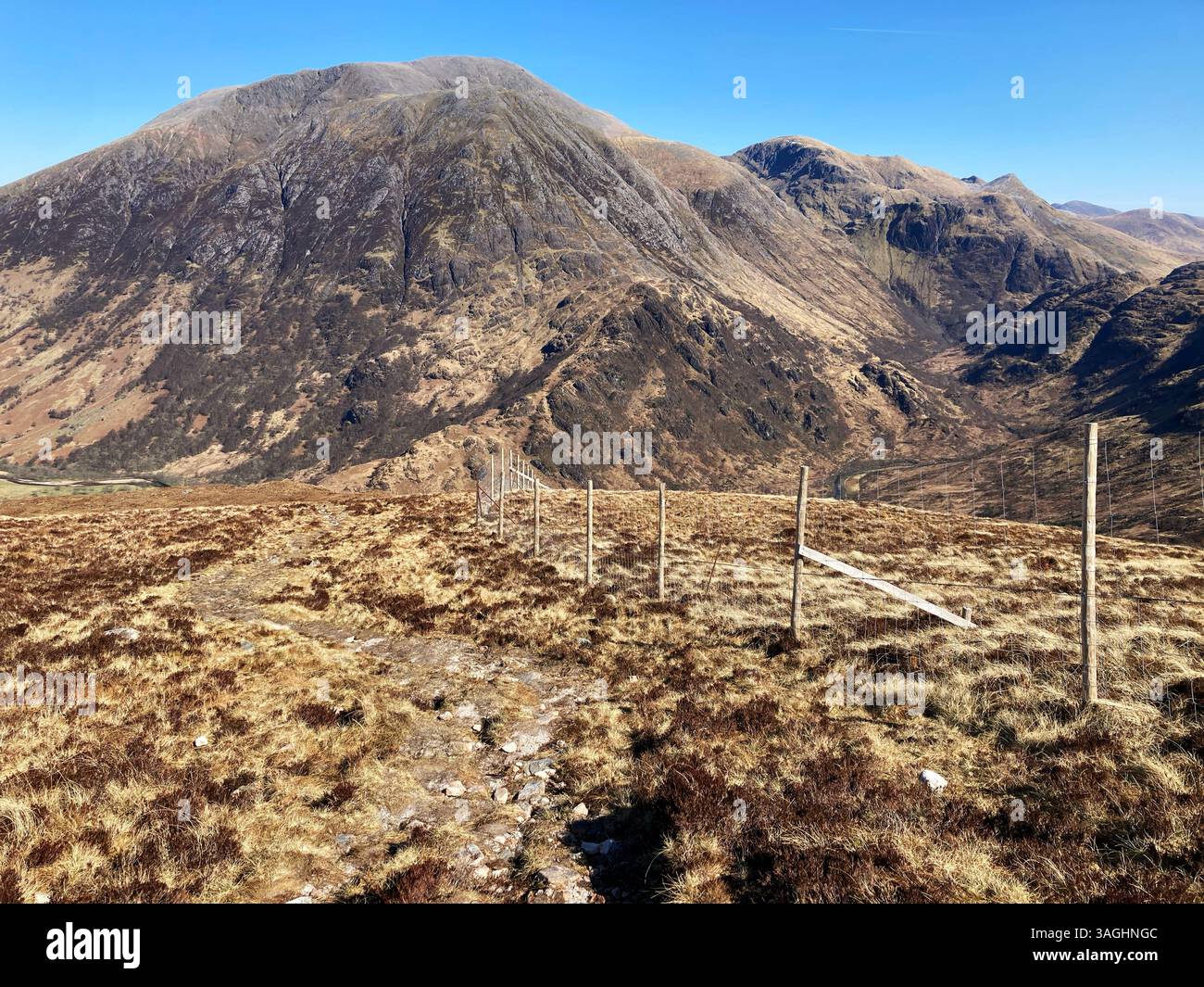 Recinzione dei cervi alle pendici della catena montuosa dei Mamores, vicino a Fort William, in Scozia - Immagine stock catturata con smartphone