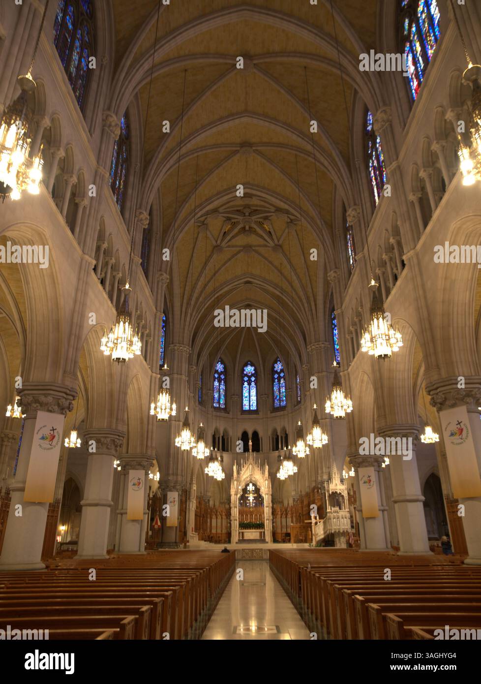 Varie fotografie all'interno della Basilica della Cattedrale del Sacro cuore a Newark, New Jersey. Foto Stock
