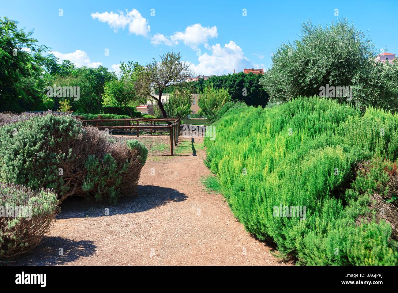 Sereno giardino caratterizzato da un sentiero che si snoda attraverso una vegetazione lussureggiante con cespugli e alberi su entrambi i lati. Il percorso conduce attraverso una vivace gamma di arbusti e Foto Stock