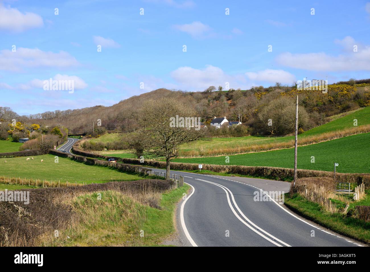 Le strade mantenute conducono in curva attraverso la campagna gallese passando per siepi sotto il cielo blu Foto Stock