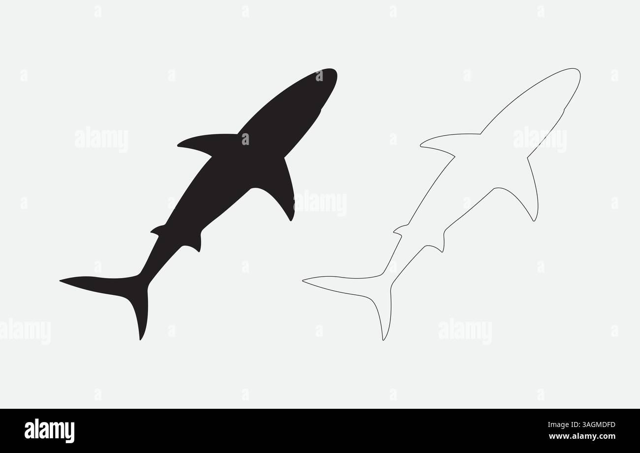 Illustrazione vettoriale sagoma dello squalo isolata su sfondo bianco Illustrazione Vettoriale
