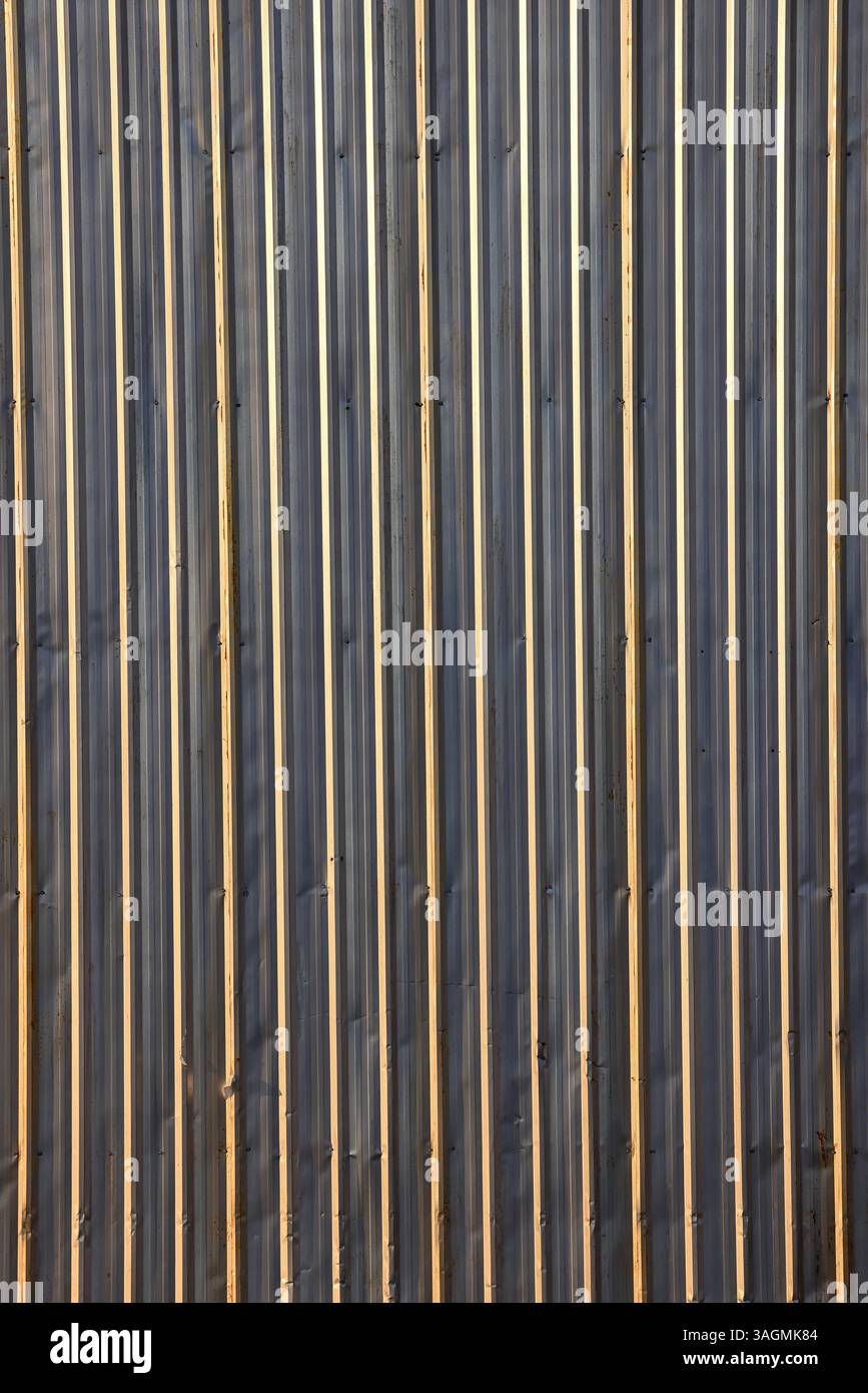 Lamiera, piastra di ferro zincato, rivestimento in metallo ondulato grigio da utilizzare come parete. Foto Stock