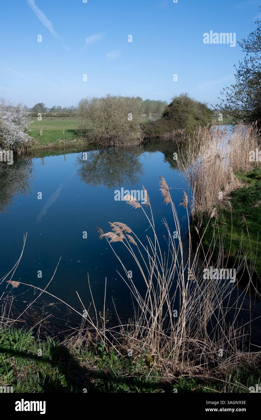 Il fiume Nene vicino a Thorpe Waterville, Northamptonshire, Inghilterra, Regno Unito Foto Stock