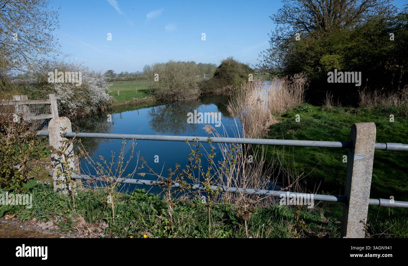 Il fiume Nene vicino a Thorpe Waterville, Northamptonshire, Inghilterra, Regno Unito Foto Stock