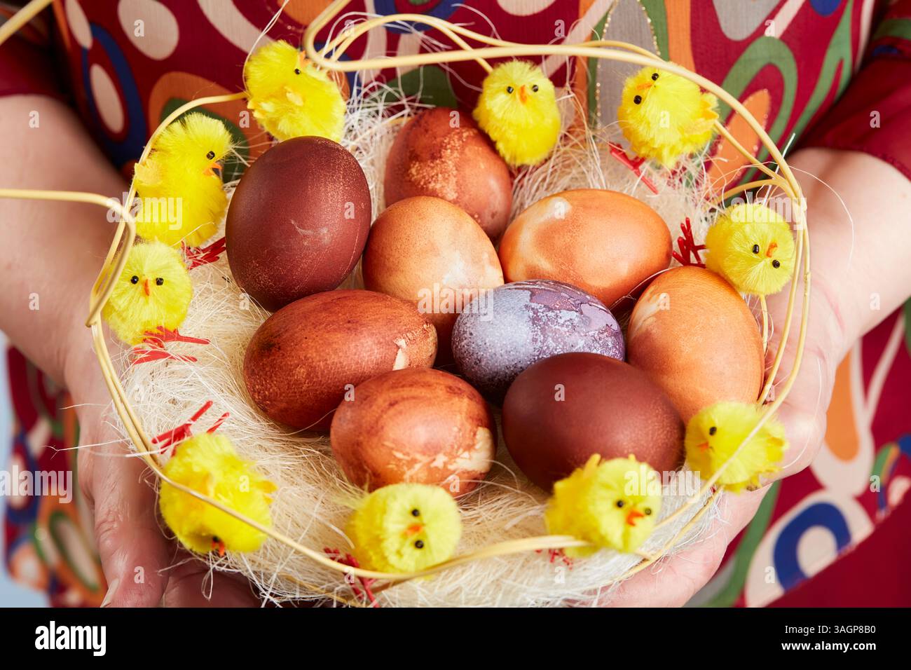 Una nonna che tiene in mano un piccolo cestino intrecciato a forma di nido pieno di uova di Pasqua decorate e piccole statuette gialle di pulcino. Primo piano. Foto Stock