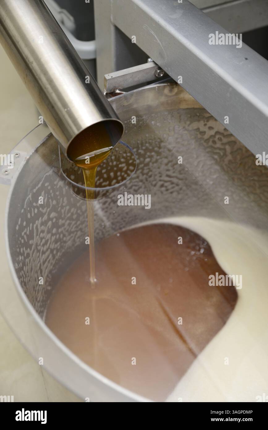 il miele fuoriesce dall'unità di estrazione in uno stabilimento di lavorazione del miele Foto Stock