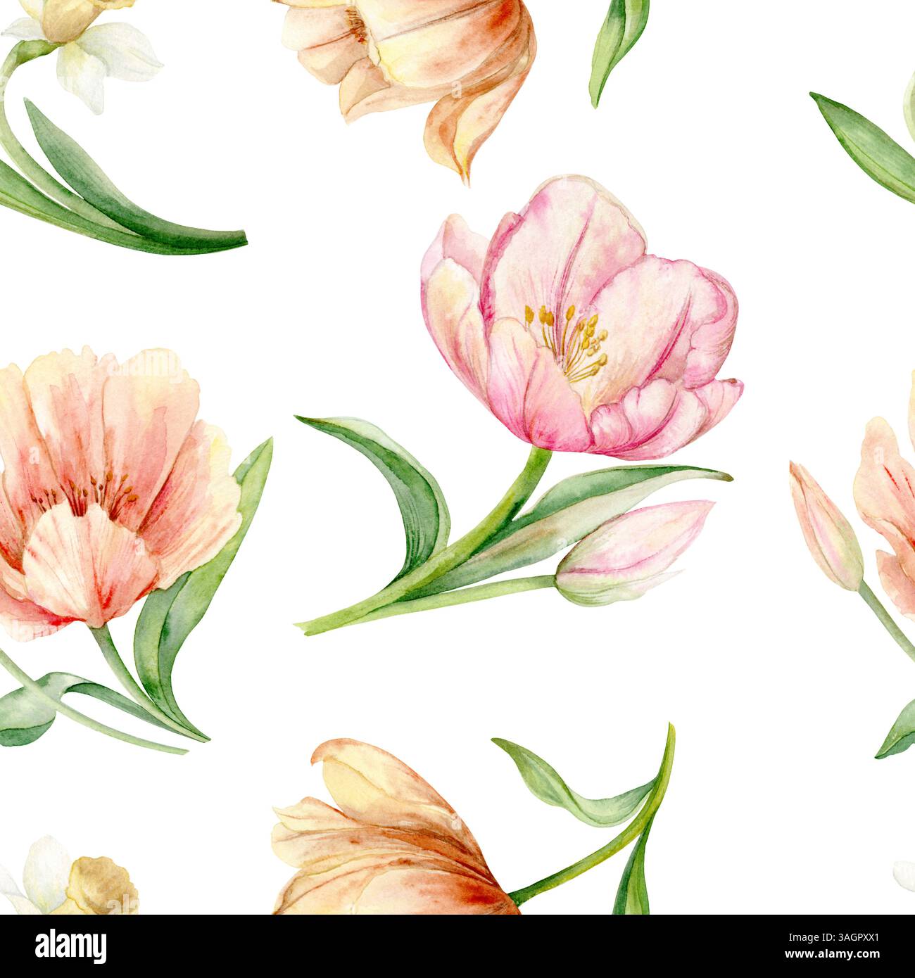 Fiori primaverili, tulipani e narcisi. Motivo senza cuciture. Illustrazione ad acquerello disegnata a mano in colori pastello per imballaggi, tessuti e disegni botanici Foto Stock
