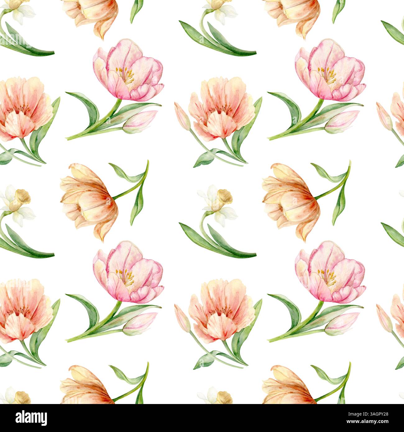 Fiori primaverili, tulipani e narcisi. Motivo senza cuciture. Illustrazione ad acquerello disegnata a mano in colori pastello per imballaggi, tessuti e disegni botanici Foto Stock