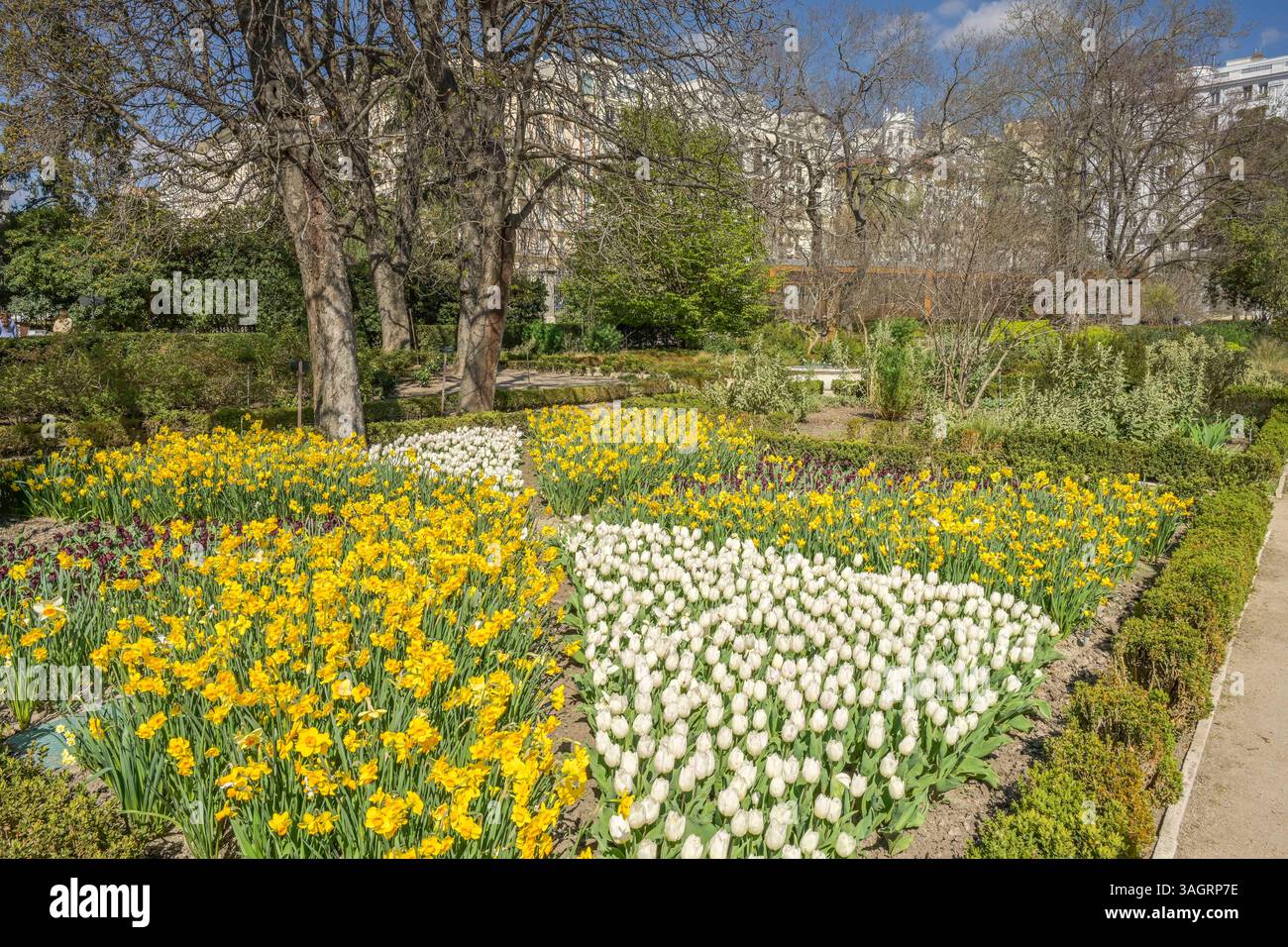 Botanischer Garten, Real Jardin Botanico de Madrid, Plaza Murillo, Madrid, Spanien Foto Stock