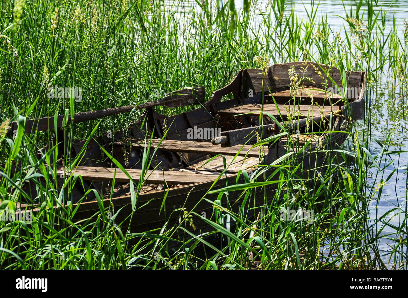 Una vecchia barca a remi in legno fatiscente e intemprata in una cintura di canne sul bordo del lago di Costanza sull'isola di Reichenau, Baden-Württemberg, Germania. Foto Stock