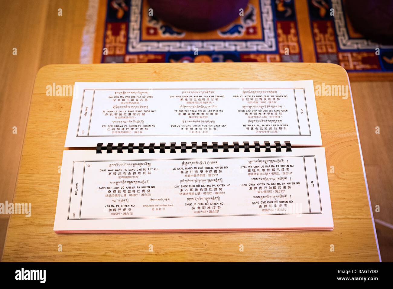 Un libro di preghiere buddista tibetano con traslitterazione cinese, tibetana e inglese. Presso il monastero Kagyu Thubten Chöling a Wappingers Falls, New York. Foto Stock