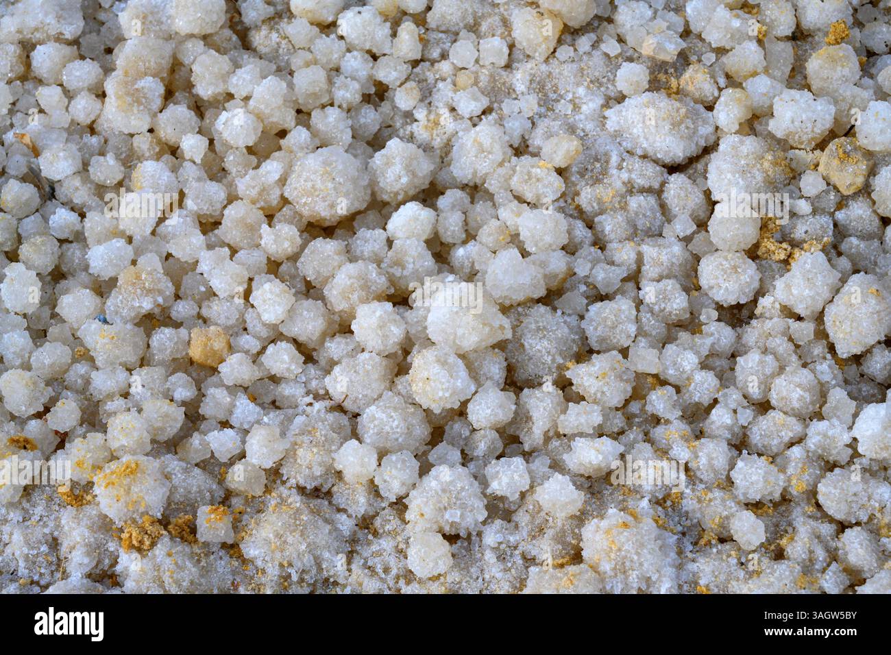 Cristalli di sale fotografati nel Mar morto, Israele Foto Stock