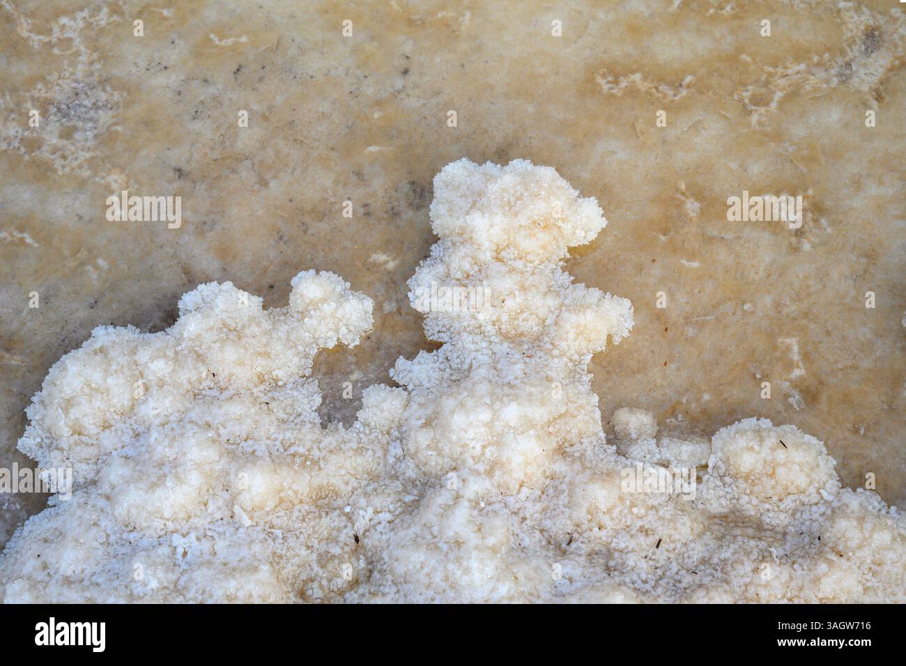 Cristalli di sale fotografati nel Mar morto, Israele Foto Stock