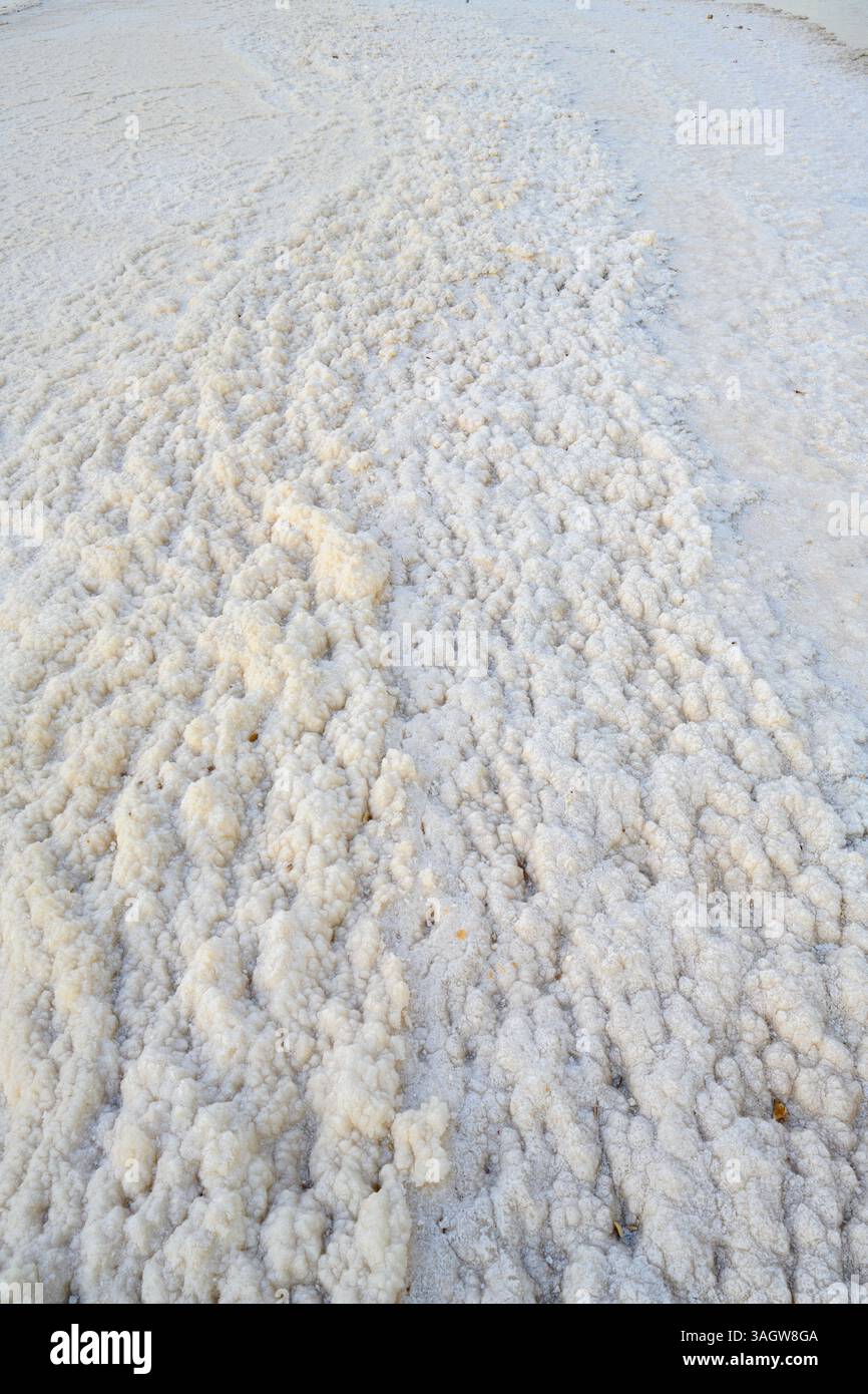 Cristalli di sale fotografati nel Mar morto, Israele Foto Stock