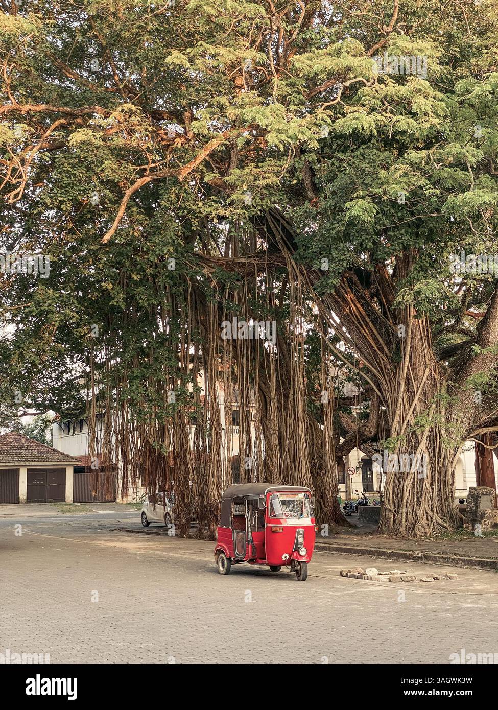 Trasporto tradizionale dello Sri Lanka TukTuk taxi sulla strada cittadina di Galle Foto Stock