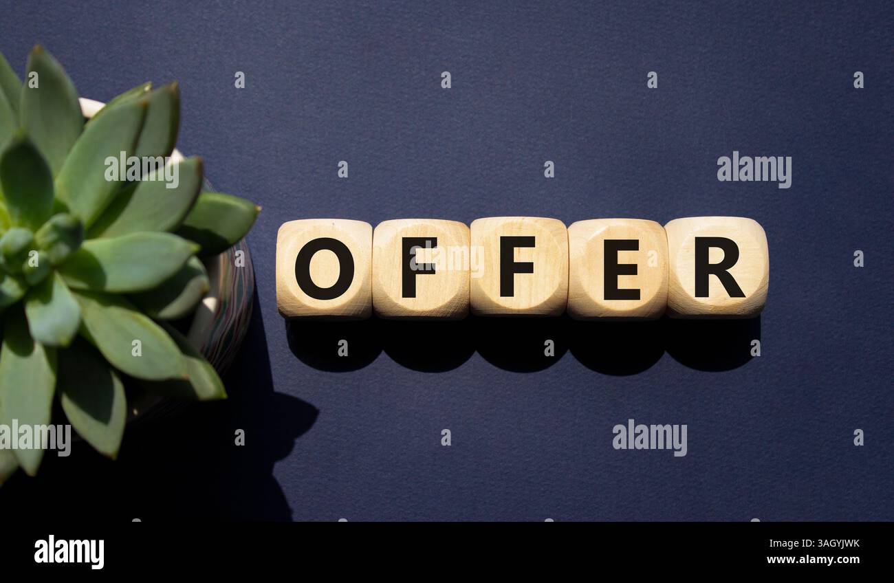 Simbolo dell'offerta. Cubi di legno con offerta di parola. Bellissimo sfondo blu intenso con piante succulente. Concetto di business e offerta. Copia spazio. Foto Stock
