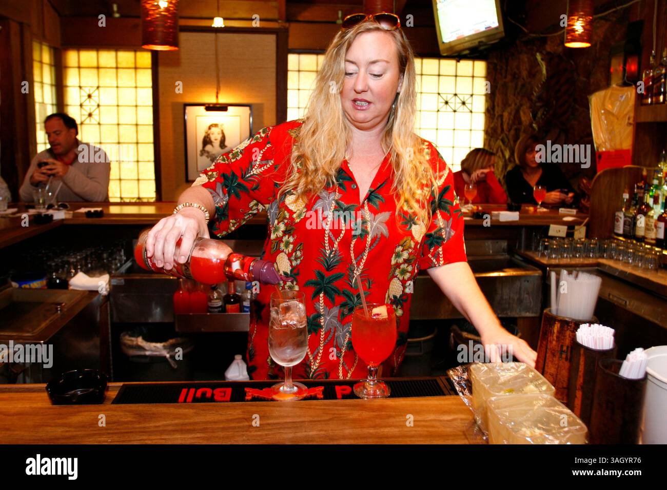 28 giugno 2009 - Sarasota, FL, USA - TP 315893 SANT maitai .Luis Santana | Times.(12/29/2009, Sarasota, FL) ..Bartender Jen ''Big Jen'' Randolph mescola una bevanda mai Tai...il Bahi Hut, istituzione di lunga data del Sarasota Drinking Establishment è stato nella stessa posizione per oltre 50 anni. Il loro famoso mai Tai, che è la loro attrazione principale, è così forte che c'è un massimo di due bevande. La bevanda a base di rum chiaro, rum scuro, rum a prova di 151 e un mix di succo di frutta e liquori renderà il viaggio da Tampa indimenticabile. .. [Luis Santana | Times] (immagine di credito: © St. Petersburg Times/ Foto Stock
