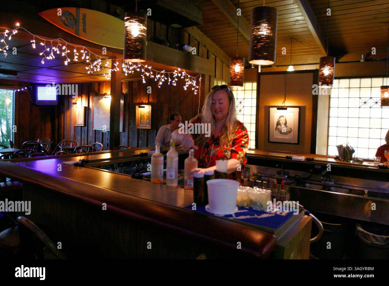 28 giugno 2009 - Sarasota, FL, USA - TP 315893 SANT maitai .Luis Santana | Times.(12/29/2009, Sarasota, FL) ..Bartender Jen ''Big Jen'' Randolph mescola una bevanda mai Tai...il Bahi Hut, istituzione di lunga data del Sarasota Drinking Establishment è stato nella stessa posizione per oltre 50 anni. Il loro famoso mai Tai, che è la loro attrazione principale, è così forte che c'è un massimo di due bevande. La bevanda a base di rum chiaro, rum scuro, rum a prova di 151 e un mix di succo di frutta e liquori renderà il viaggio da Tampa indimenticabile. .. [Luis Santana | Times] (immagine di credito: © St. Petersburg Times/ Foto Stock