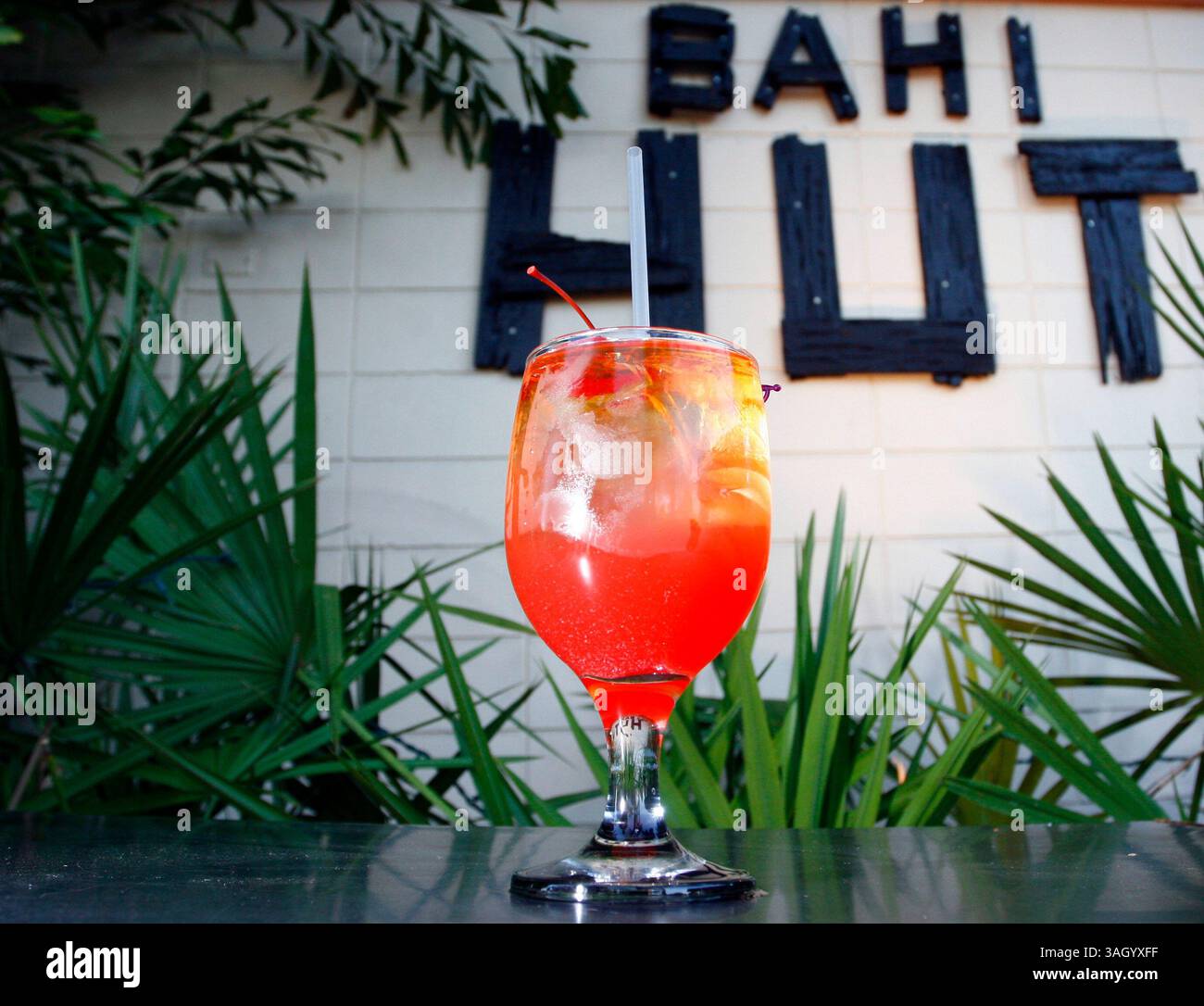 28 giugno 2009 - Sarasota, FL, USA - TP 315893 SANT maitai .Luis Santana | Times.(12/29/2009, Sarasota, FL) ..mai Tai drink...il Bahi Hut, istituto di lunga data del Sarasota Drinking Establishment è stato nella stessa posizione per oltre 50 anni. Il loro famoso mai Tai, che è la loro attrazione principale, è così forte che c'è un massimo di due bevande. La bevanda a base di rum chiaro, rum scuro, rum a prova di 151 e un mix di succo di frutta e liquori renderà il viaggio da Tampa indimenticabile. .. [Luis Santana | Times] (immagine di credito: © St. Petersburg Times/ZUMApress.com) Foto Stock