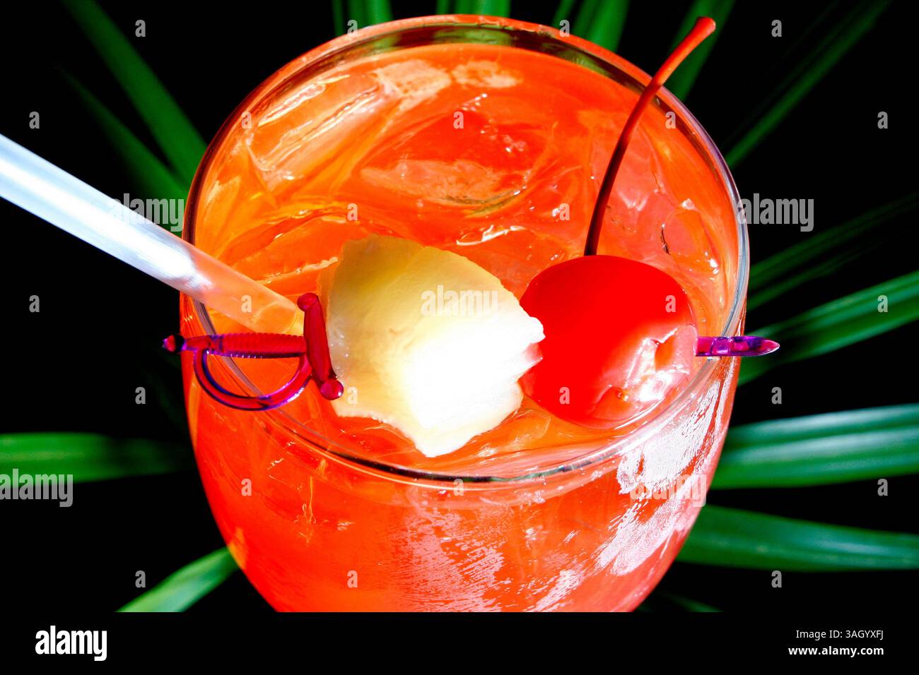 28 giugno 2009 - Sarasota, FL, USA - TP 315893 SANT maitai .Luis Santana | Times.(12/29/2009, Sarasota, FL) ..mai Tai drink...il Bahi Hut, istituto di lunga data del Sarasota Drinking Establishment è stato nella stessa posizione per oltre 50 anni. Il loro famoso mai Tai, che è la loro attrazione principale, è così forte che c'è un massimo di due bevande. La bevanda a base di rum chiaro, rum scuro, rum a prova di 151 e un mix di succo di frutta e liquori renderà il viaggio da Tampa indimenticabile. .. [Luis Santana | Times] (immagine di credito: © St. Petersburg Times/ZUMApress.com) Foto Stock