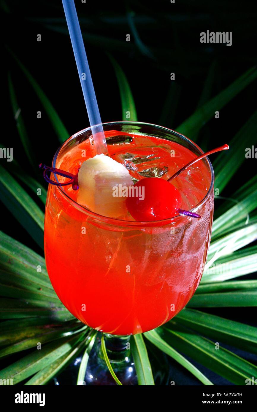 28 giugno 2009 - Sarasota, FL, USA - TP 315893 SANT maitai .Luis Santana | Times.(12/29/2009, Sarasota, FL) ..mai Tai drink...il Bahi Hut, istituto di lunga data del Sarasota Drinking Establishment è stato nella stessa posizione per oltre 50 anni. Il loro famoso mai Tai, che è la loro attrazione principale, è così forte che c'è un massimo di due bevande. La bevanda a base di rum chiaro, rum scuro, rum a prova di 151 e un mix di succo di frutta e liquori renderà il viaggio da Tampa indimenticabile. .. [Luis Santana | Times] (immagine di credito: © St. Petersburg Times/ZUMApress.com) Foto Stock