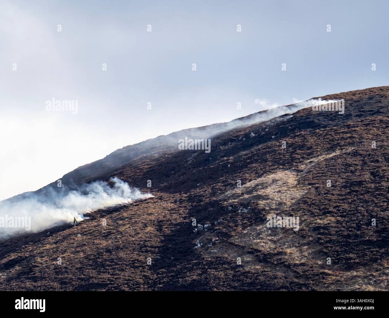 Bruciare la brughiera di heather su una brughiera di gabbiano nella valle di Findhorn, Scozia, Regno Unito. Foto Stock
