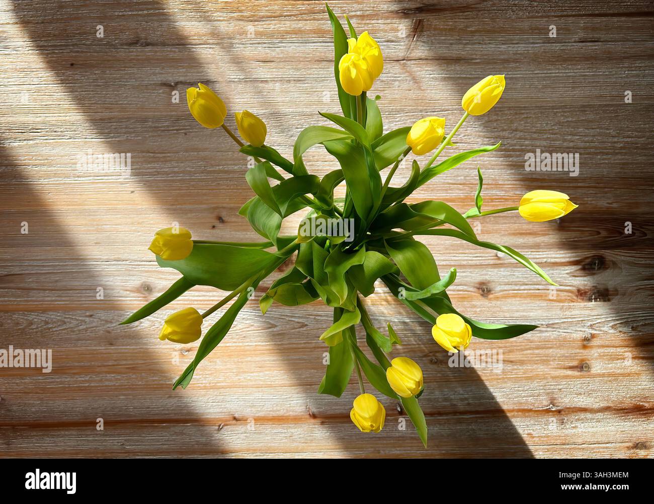 Vista dall'alto di un bouquet di tulipani gialli illuminati dal sole su un rustico tavolo in legno. Foto Stock