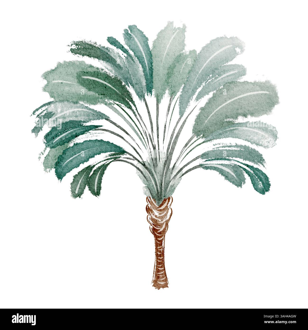 Illustrazione ad acquerello di una palma tropicale con foglie verdi vibranti Foto Stock