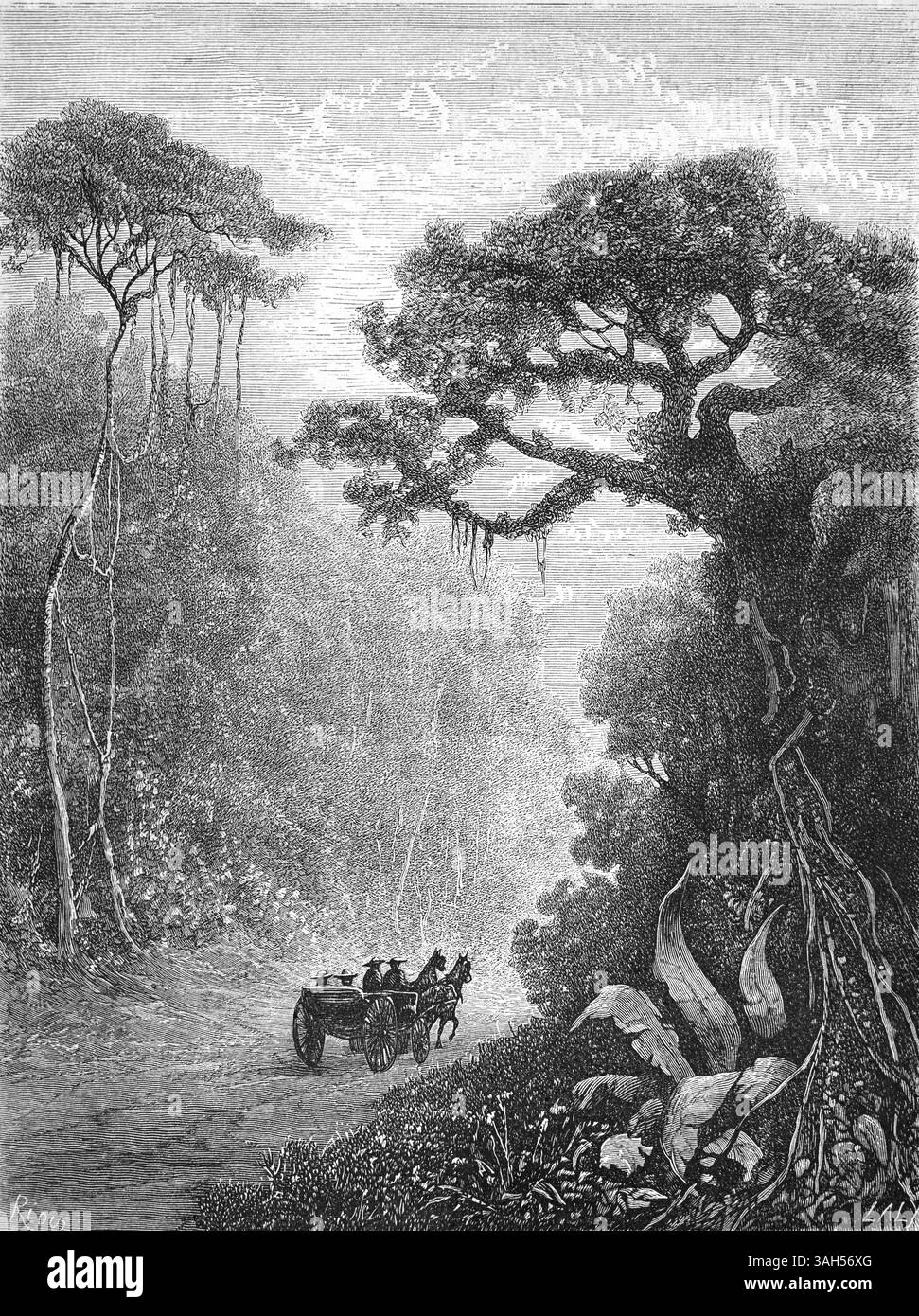 Country Road o Forest Track che conduce tra prigioni, carceri o penitenziari ex colonia penale della Guyana francese Sud America. Incisione vintage o storica o illustrazione 1866 Foto Stock