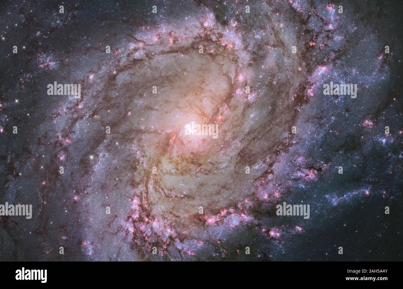17 aprile 2015 - Un obiettivo fotogenico e preferito dagli astronomi dilettanti, la bellezza della vicina galassia a spirale M83 viene svelata in tutta la sua gloria in questa immagine a mosaico del telescopio spaziale Hubble. I magenta e i blu vibranti rivelano che la galassia è piena di formazione stellare. La galassia, nota anche come ruota del Sud, si trova a 15 milioni di anni luce di distanza nella costellazione dell'Idra. La fotografia di Hubble cattura migliaia di ammassi stellari, centinaia di migliaia di singole stelle e ''fantasmi'' di stelle morte chiamate resti di supernova. (Immagine di credito: © NASA/ZUMAPRESS.com) Foto Stock