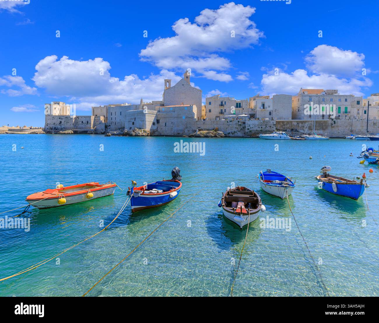 Centro storico di Giovinazzo in Puglia: Vista sul porto con la Cattedrale di Santa Maria Assunta in stile romanico pugliese. Foto Stock