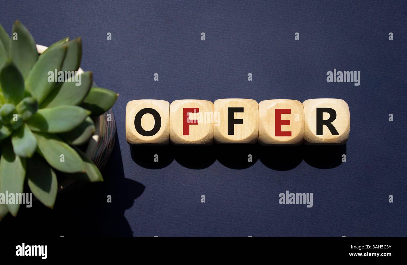 Simbolo dell'offerta. Cubi di legno con offerta di parola. Bellissimo sfondo blu intenso con piante succulente. Concetto di business e offerta. Copia spazio. Foto Stock