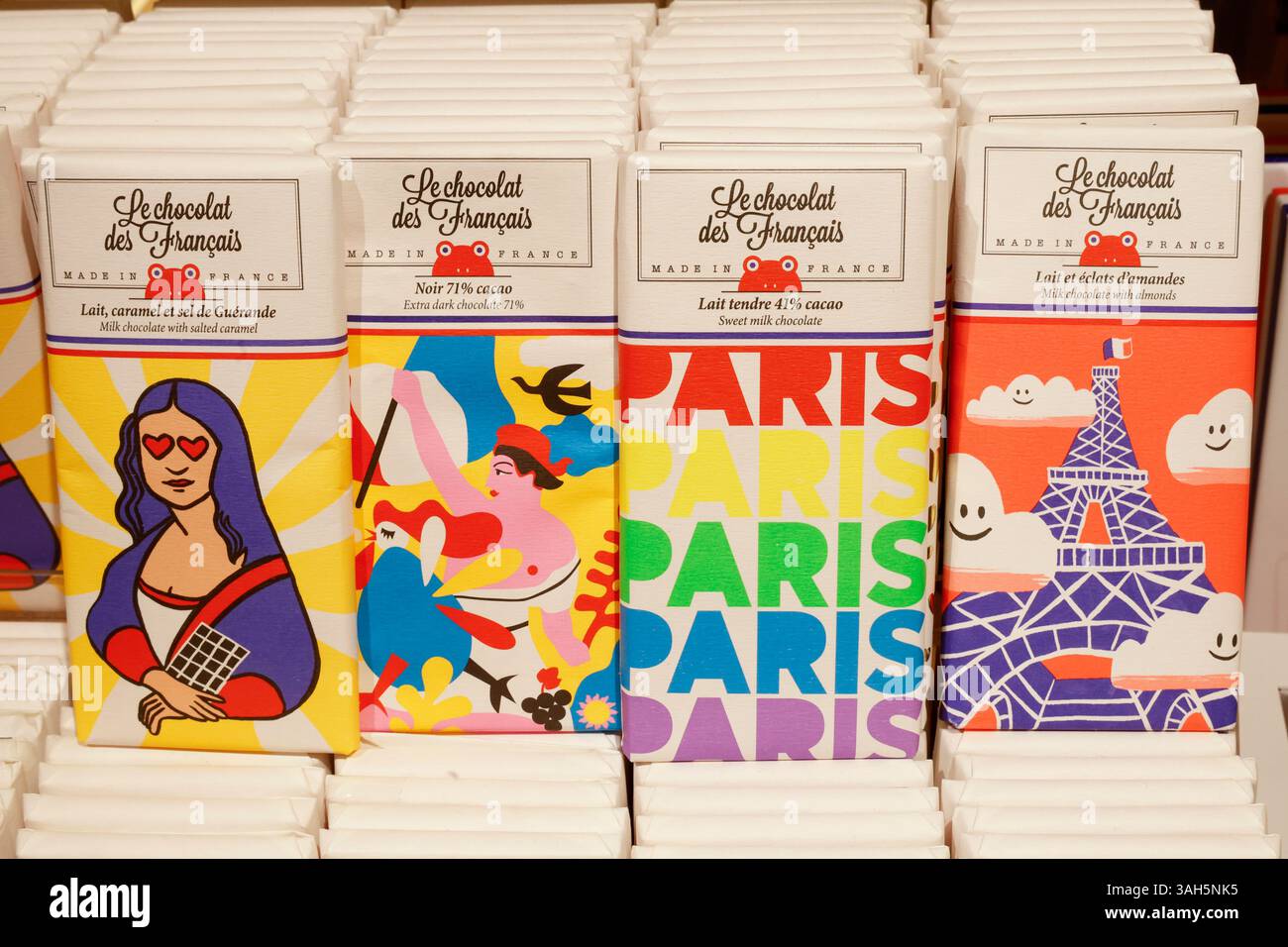 LOUVER Museum DI PARIGI Foto Stock