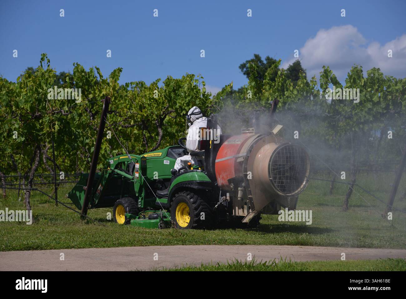 Linn Creek, Missouri - 10 giugno 2024: Trattore che utilizza un getto d'aria per spruzzare pesticidi in un vigneto di uve da vino in un'azienda vinicola. Editoriale. Foto Stock