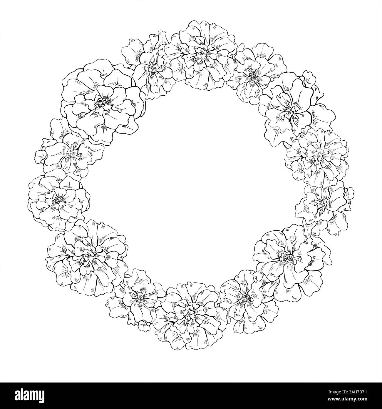 Corona vettoriale testa fiore Marigold con spazio di copia per il testo. Tagete in fiore fiori disegno di incisione dipinto da inchiostri neri. Bordo floreale per giardino Illustrazione Vettoriale