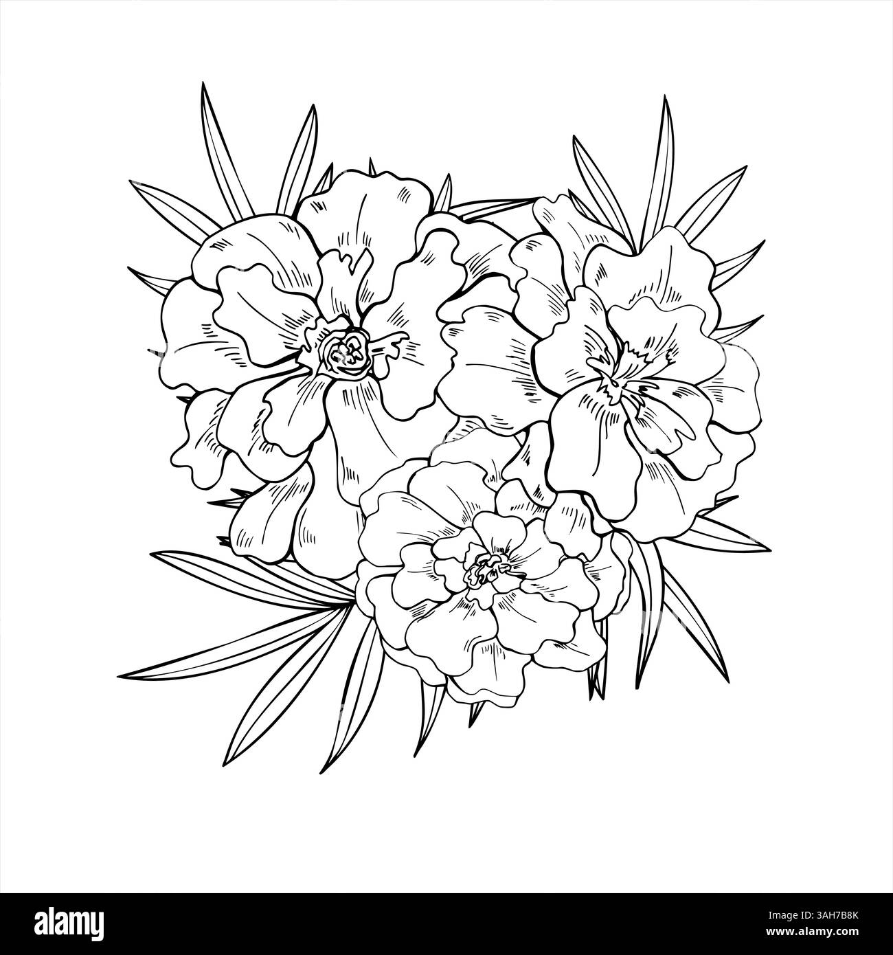 Teste floreali Marigold, tradescantia lascia una cornice quadrata vettoriale con spazio vuoto per il testo. Schizzo a inchiostro nero con fiori in fiore. Bordo floreale Illustrazione Vettoriale