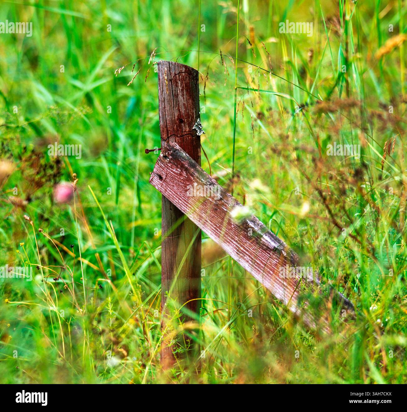 Vecchio palo per recinzione Foto Stock