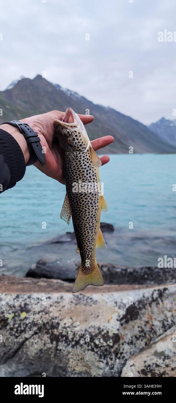 Un momento catturato al lago Khukash, una trota appena pescata sullo sfondo di acque tranquille e scintillanti. Foto Stock
