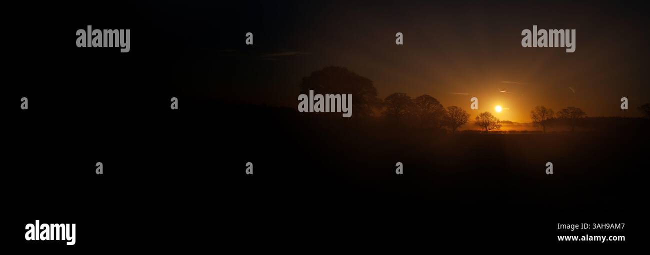 Splendida alba di prima mattina sul profilo degli alberi del paesaggio rurale. Ora di sole Golder con nebbia primaverile a Norfolk in Inghilterra Foto Stock