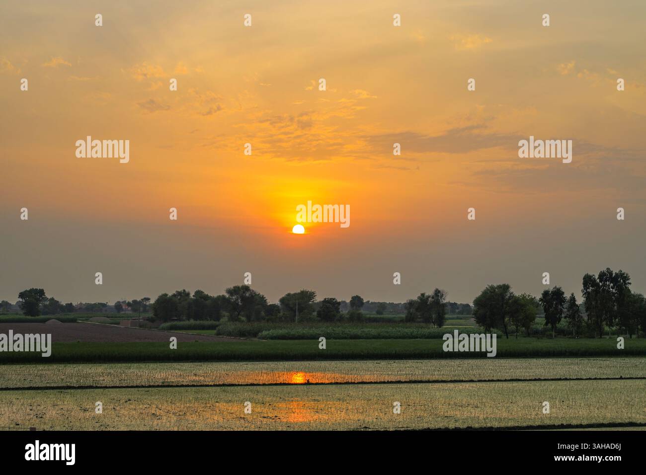 Splendido tramonto sulla regione agricola del Punjab, Pakistan Foto Stock