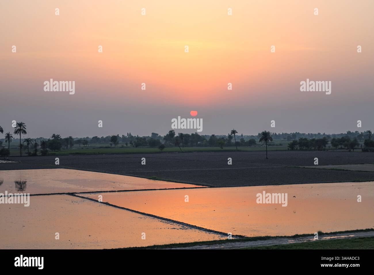 Splendido tramonto sulla regione agricola del Punjab, Pakistan Foto Stock
