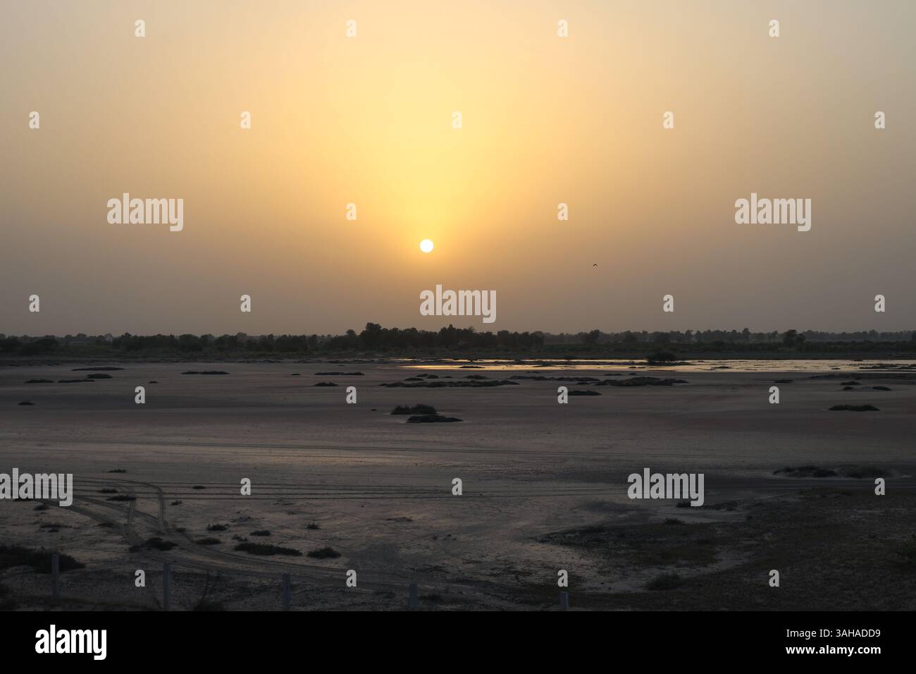 Splendido tramonto sulla regione agricola del Punjab, Pakistan Foto Stock