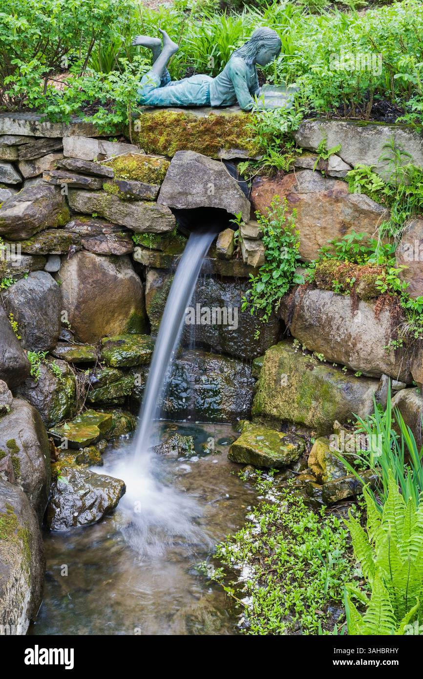 Statua in bronzo "il lettore" sul bordo di una cascata artificiale delimitata da Pteridophyta -Ferns, Iris, Hemerocallis - Daylily, Rosa - piante di fiori di rosa. Foto Stock