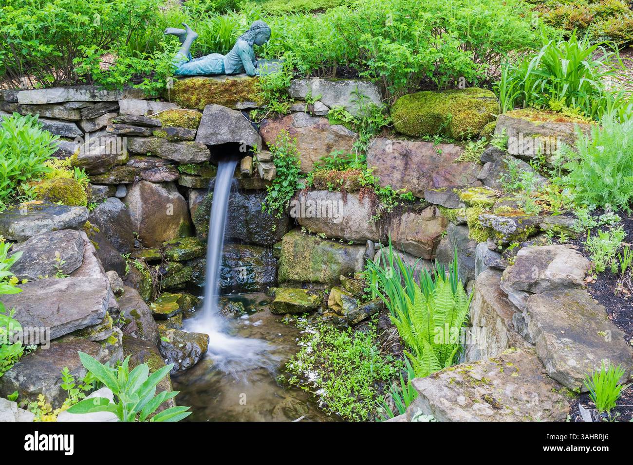 Statua in bronzo "il lettore" sul bordo di una cascata artificiale delimitata da Pteridophyta -Ferns, Iris, Hemerocallis - Daylily, Rosa - piante di fiori di rosa. Foto Stock