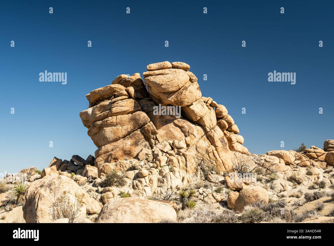 Classic Smooth Rocks of Joshua Tree contro Bright Blue Sky in inverno Foto Stock